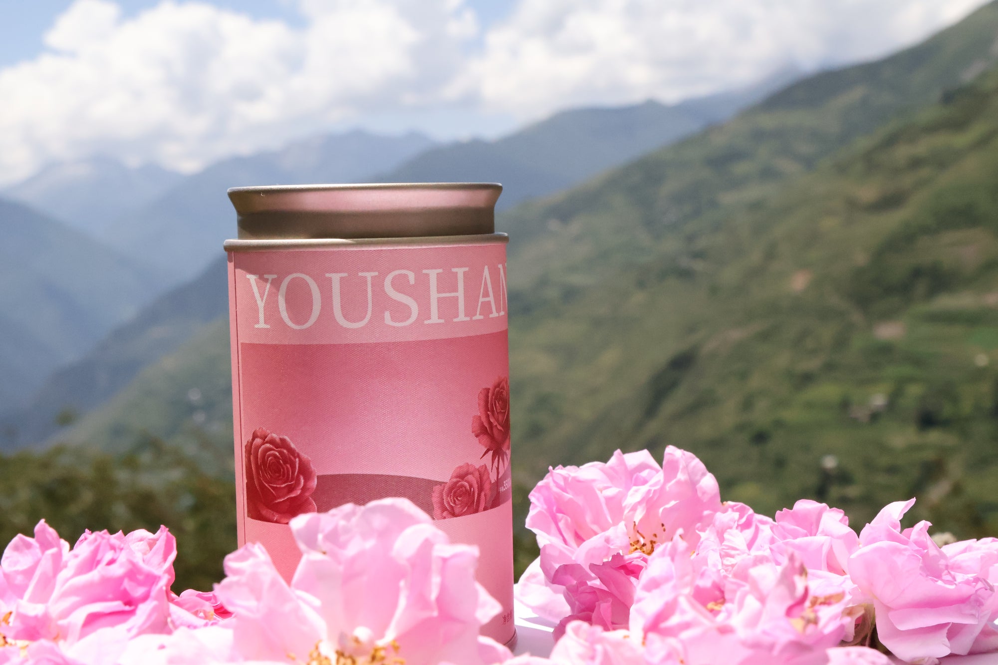 玫瑰普洱茶