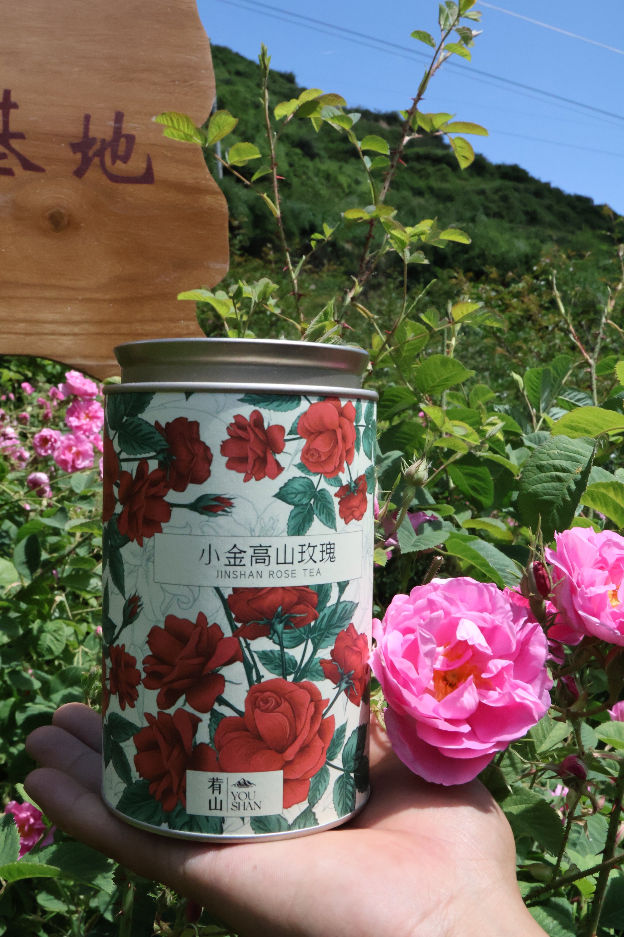 桂圆红枣茶