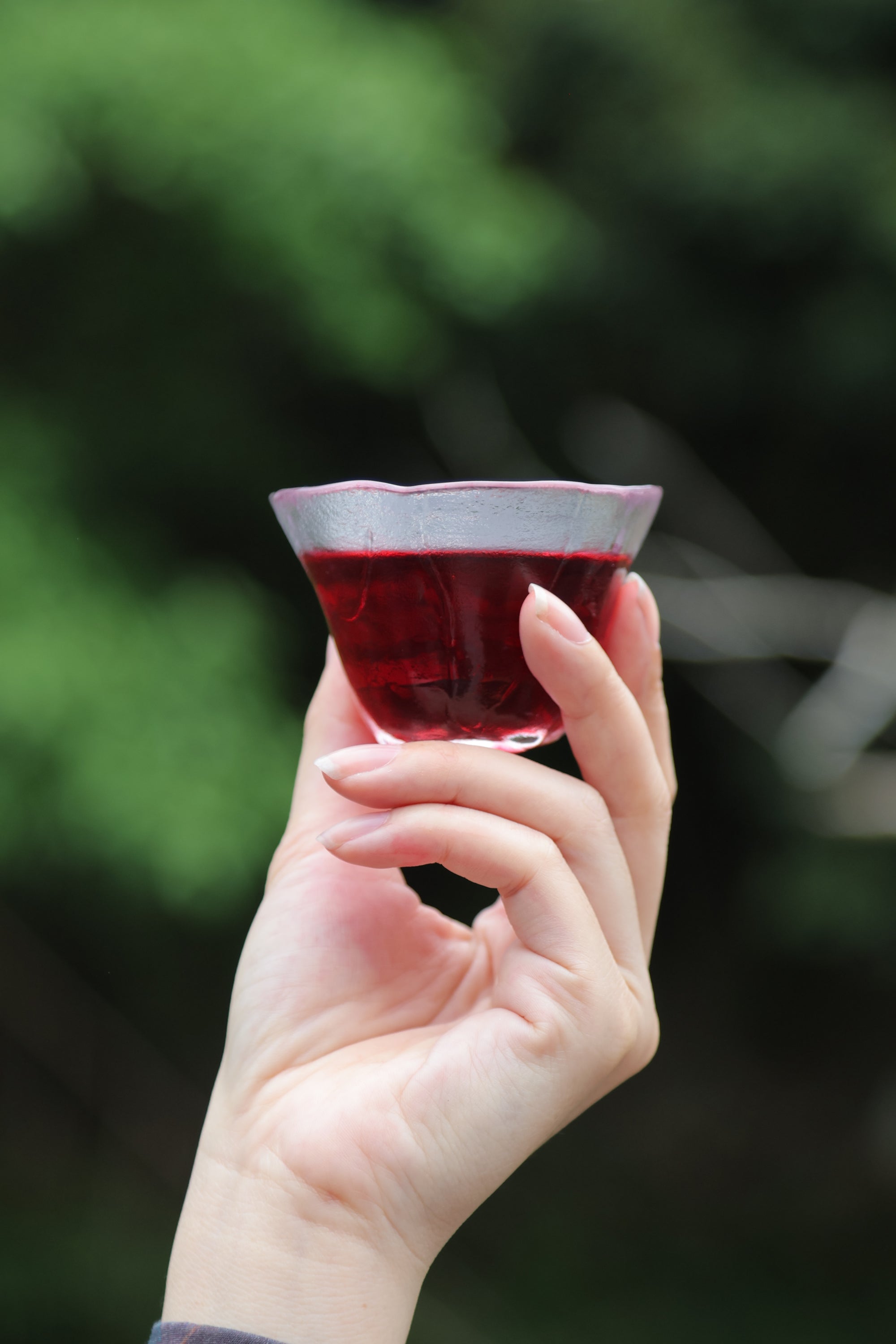 洛神红茶